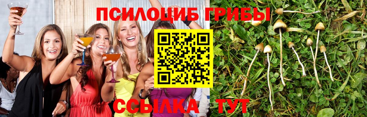 Кушва  Галлюциногенные грибы прущие грибы  Вход с VPN 