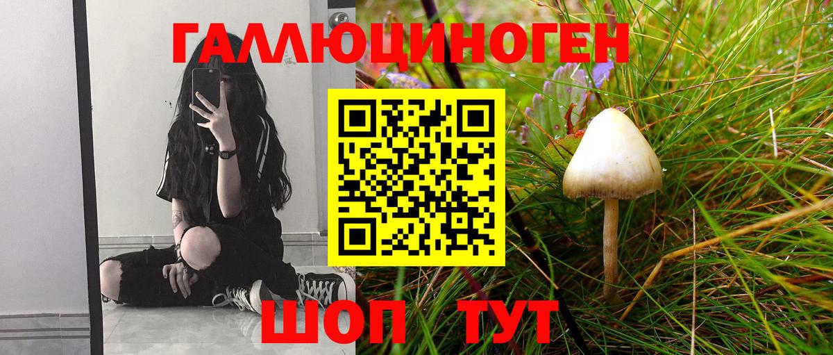 Псилоцибиновые грибы GOLDEN TEACHER Кушва